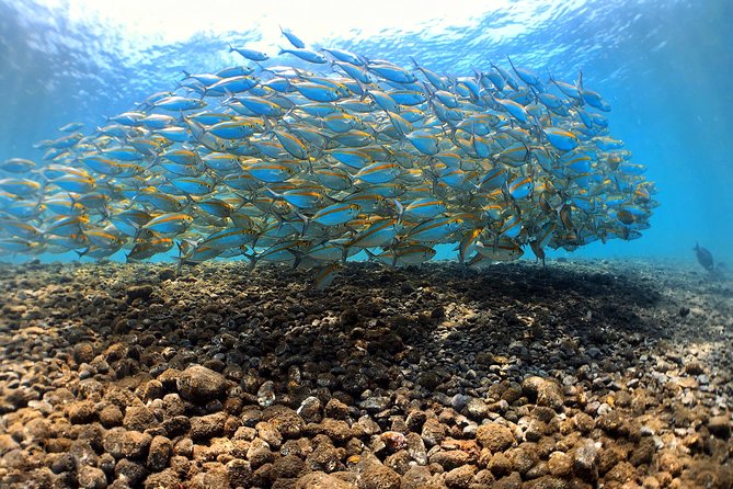 Discover Scuba Diving Tulamben Bali For Non-Certified Divers - The early pickup from Kuta and Sanur