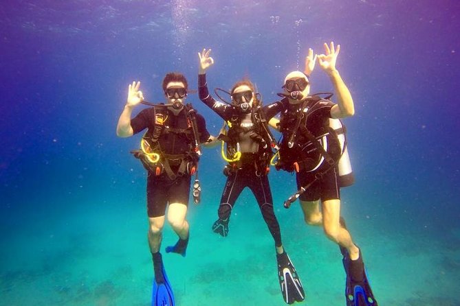 Discover Scuba Diving with No Certification in St Thomas - What the three-and-a-half-hour St. Thomas outing feels like