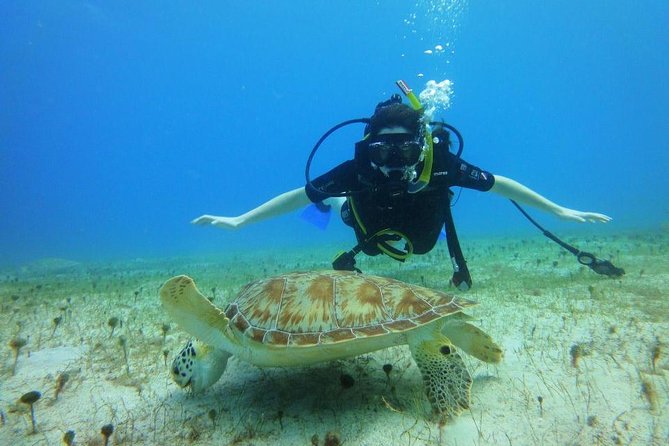 Discover Scuba Diving with No Certification in St Thomas - Snorkeling, snacks, and the optional second session