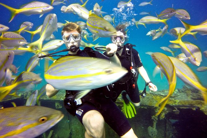 Discover Scuba Diving with No Certification in St Thomas - The first underwater session: calm instruction matters