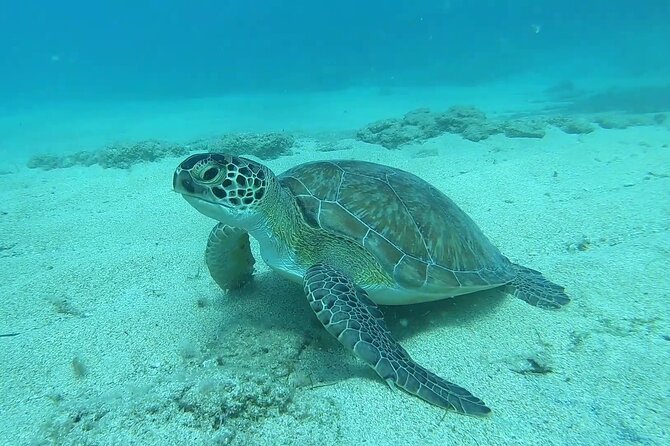 Discover SCUBA Diving with Pissouri Bay Divers - Why this first SCUBA session works for beginners
