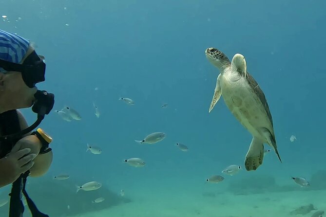 Discover SCUBA Diving with Pissouri Bay Divers - Is $145.18 good value?