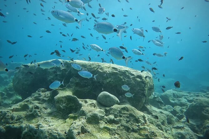 Discover SCUBA Diving with Pissouri Bay Divers - Who will enjoy this experience most?