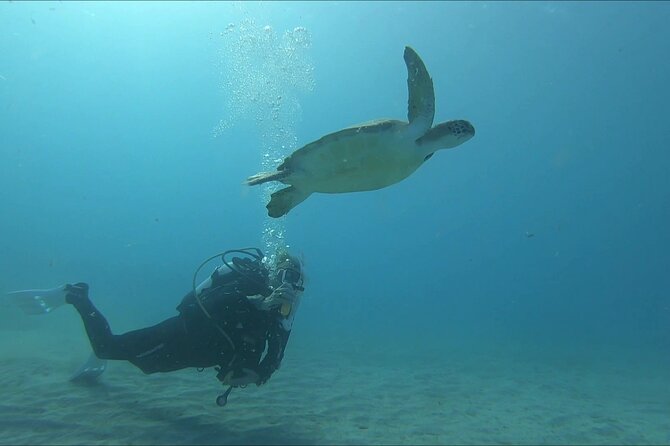 Discover SCUBA Diving with Pissouri Bay Divers - Practical planning for your day