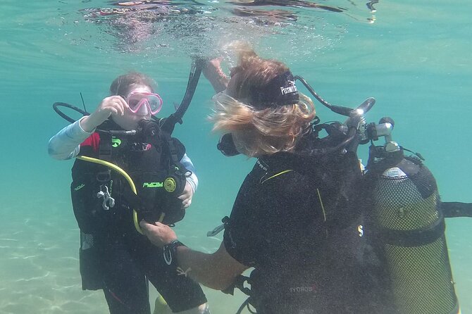 Discover SCUBA Diving with Pissouri Bay Divers - What makes the experience memorable