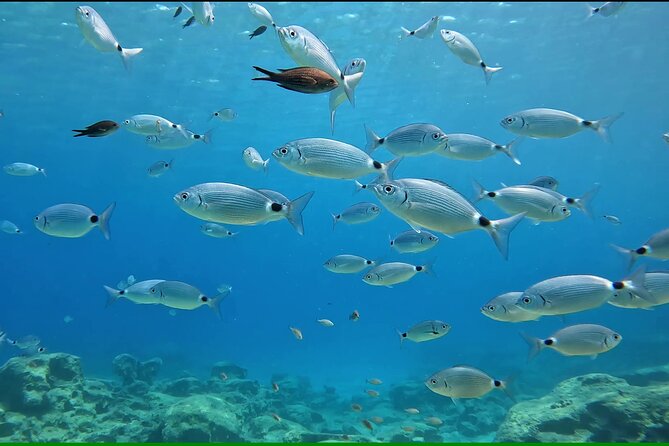 Discover SCUBA Diving with Pissouri Bay Divers - The instructors make the difference