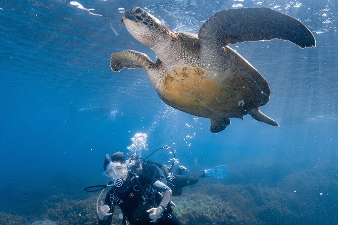 Discover Scuba Diving With Sea Turtles – Xiaoliuqiu, Taiwan - What happens during the two-hour session