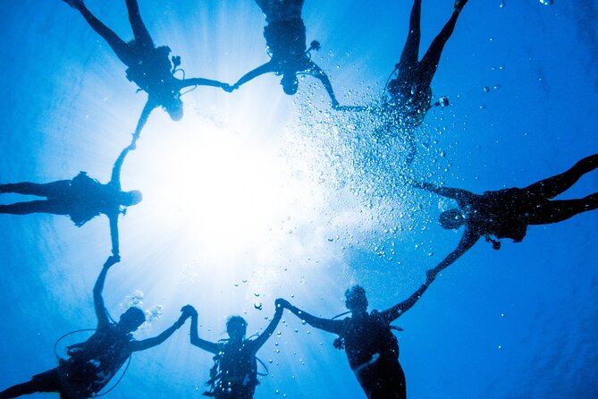 Discover Scuba Diving With Sea Turtles – Xiaoliuqiu, Taiwan - Health, age, and comfort requirements