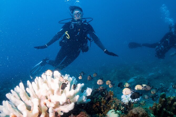 Discover Scuba Diving With Sea Turtles – Xiaoliuqiu, Taiwan - Weather, visibility, and the limits of an ocean outing