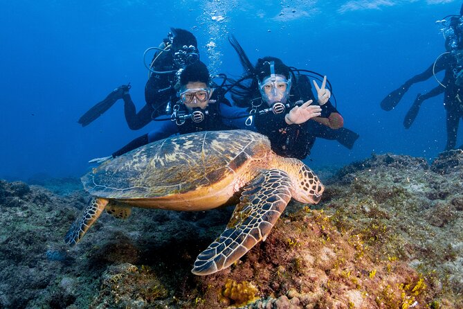 Discover Scuba Diving With Sea Turtles – Xiaoliuqiu, Taiwan - Who will enjoy this most?