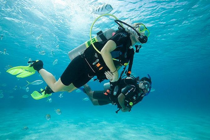 Discover Scuba Diving with two dives in the Ocean in Tenerife with Transfers - Key points to know before you book