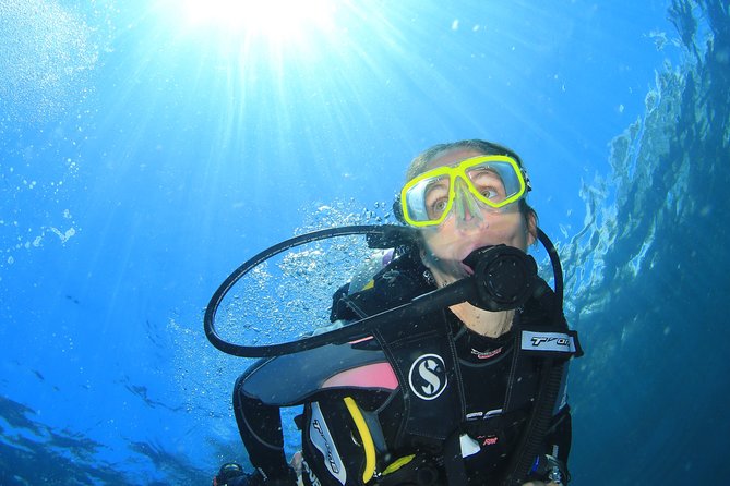 A scuba diver silhouetted against sunlight in the Red Sea