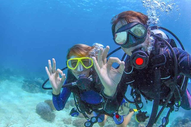 Discover Scuba experience at Las Caletas, Puerto Vallarta - What the underwater session is really like