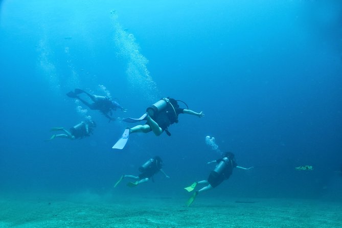 Discover Scuba experience at Las Caletas, Puerto Vallarta - Life above the water at Las Caletas