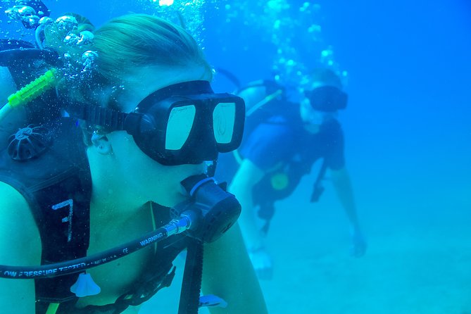 Discover Scuba experience at Las Caletas, Puerto Vallarta - Staff quality and the beginner experience