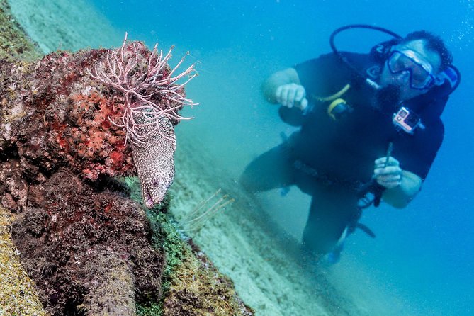 Discover Scuba experience at Las Caletas, Puerto Vallarta - The 50-minute boat ride to Las Caletas