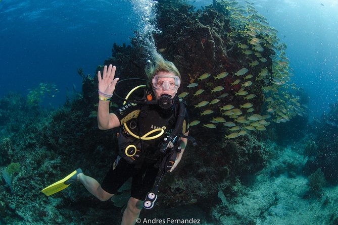 Discover scuba ,MUSA and Manchones reef dive without license - Manchones Reef at about 33 feet
