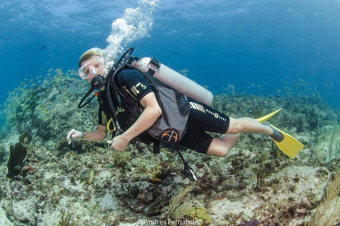 Discover scuba ,MUSA and Manchones reef dive without license - The Underwater Museum at about 30 feet