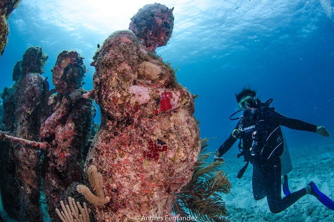 Discover scuba ,MUSA and Manchones reef dive without license - Two tanks give you more than a quick introduction