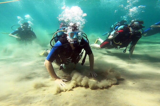 Discover Small Group Scuba Diving Experience in Nea Makri, Athens - Key points to know before booking