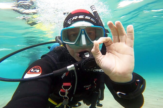 Discover Small Group Scuba Diving Experience in Nea Makri, Athens - The 30 to 40-minute underwater session