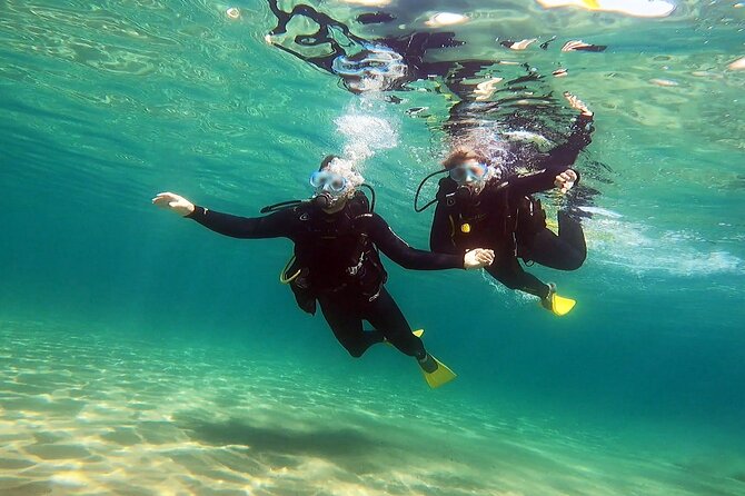 Discover Small Group Scuba Diving Experience in Nea Makri, Athens - Timing, weather, and practical planning