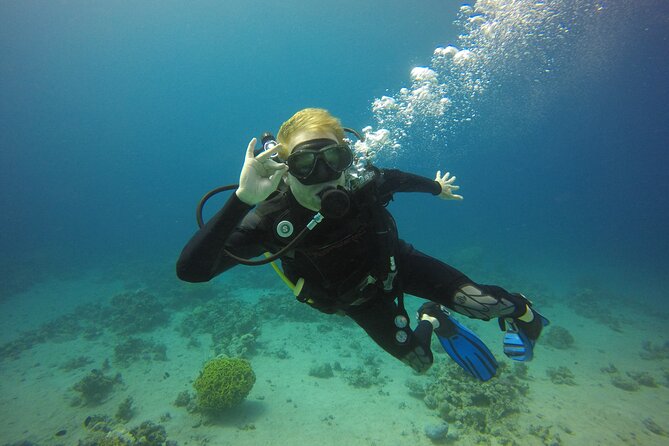 Discover the Depths: Aqaba's Ultimate private Dive Experience - Why Aqaba is a good place for a first scuba session
