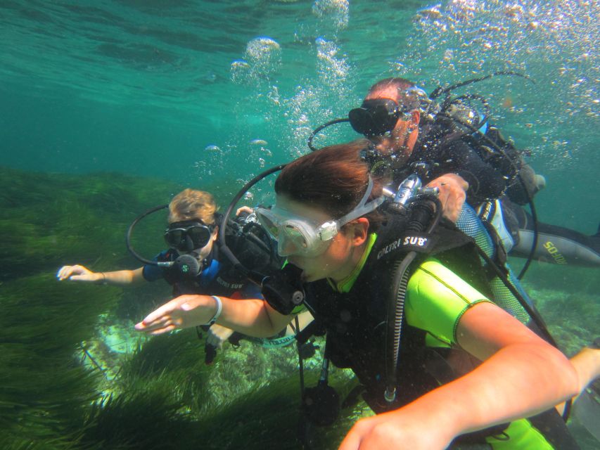 DISCOVER THE UNDERWATER WORLD, Scuba Diving Experience - Key points to know before you book