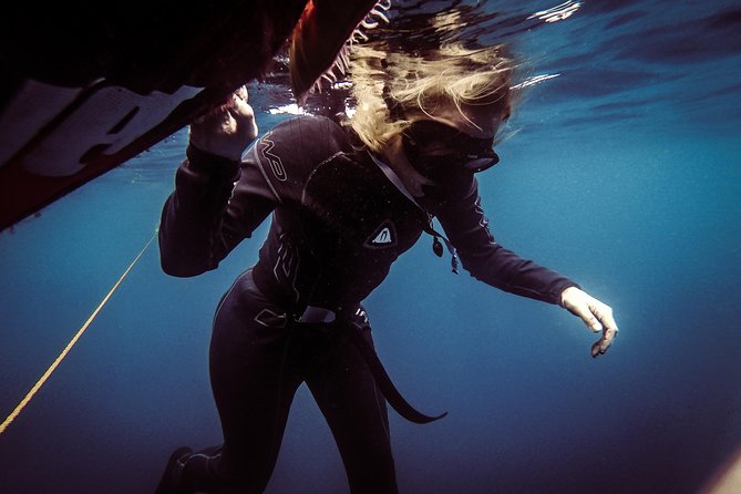 Discovery Freediving Program - Underwater photos and video add real value