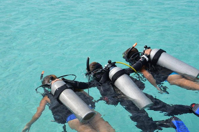 Discovery Scuba Dive. - Key points at a glance