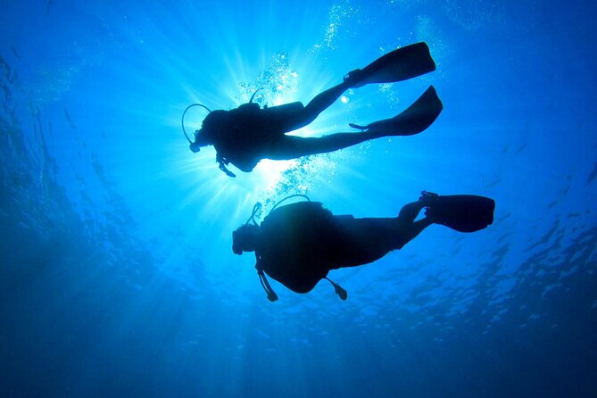 Discovery Scuba Dive. - What the $100 Costa Maya experience actually includes