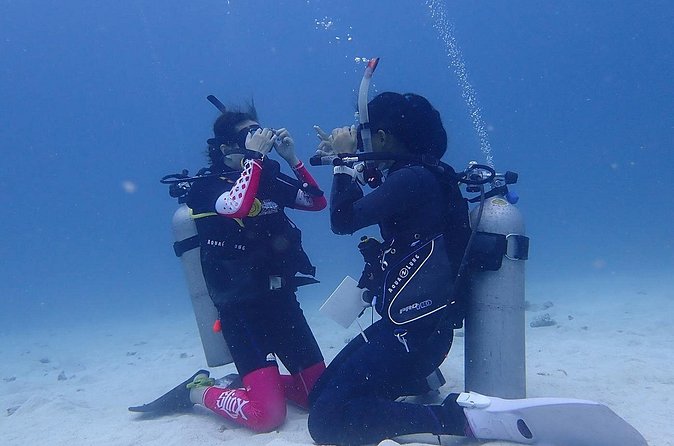 Discovery Scuba Dive. - A short boat ride to the reef