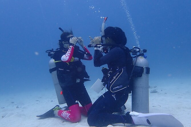 Discovery Scuba Dive. - Comfort, safety, and the small drawbacks