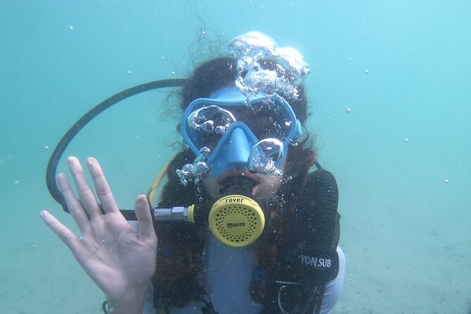 Discovery Scuba Diving in Dubai - Starting at Bermuda Diving Center in Jumeirah