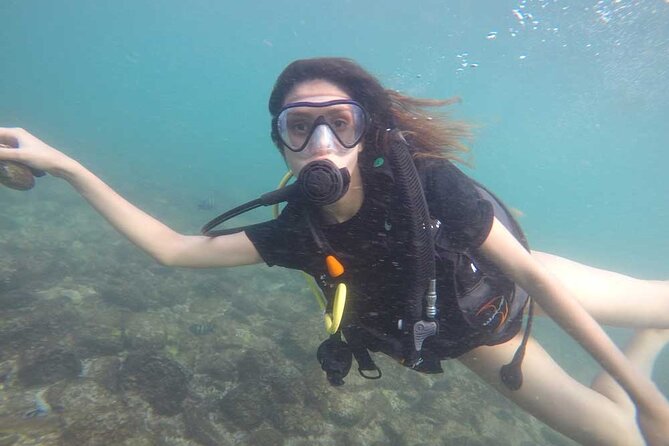Discovery Scuba Diving in Dubai - The open-water session reaches 6 to 8 meters