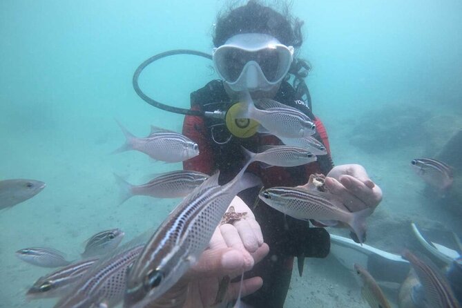 Discovery Scuba Diving in Dubai - Water conditions are the biggest question mark