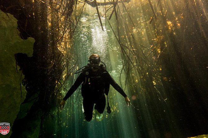 Discovery Scuba Diving !! - Meeting the Puerto Morelos reef