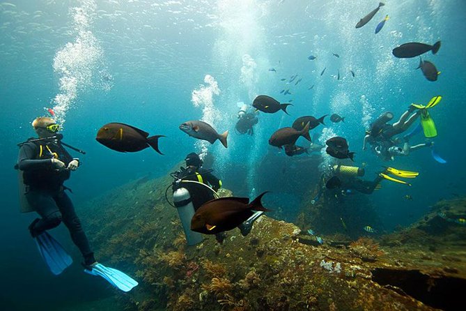 Dive at Tulamben Bali USS Liberty Ship Wreck - What the two sessions mean for your value