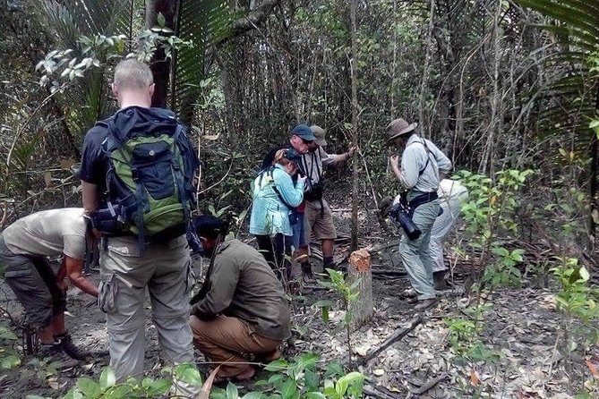 Dive deep into the wild wonders of Sundarban. - Meeting a family who lives in the forest