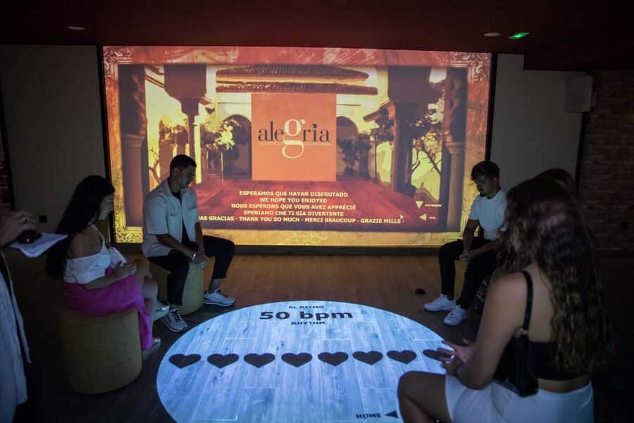Dive In and Discover: Flamenco in an Interactive Journey - Key points to know before you book