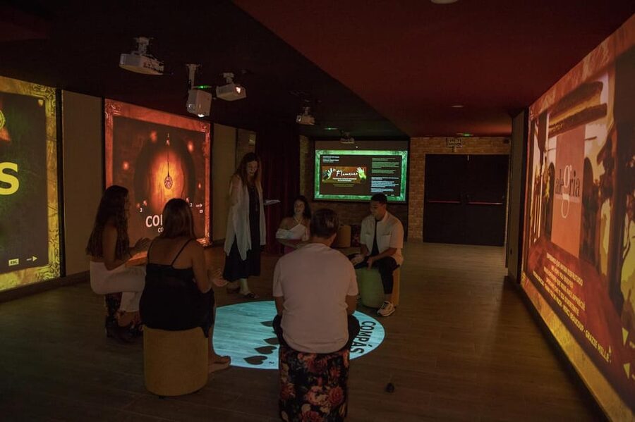 Dive In and Discover: Flamenco in an Interactive Journey - Price and overall value