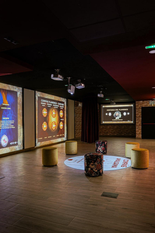 Dive In and Discover: Flamenco in an Interactive Journey - The guide makes the difference
