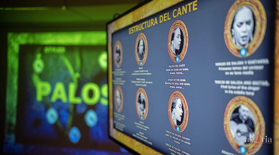 Dive In and Discover: Flamenco in an Interactive Journey - Why the one-hour format works, and where it falls short