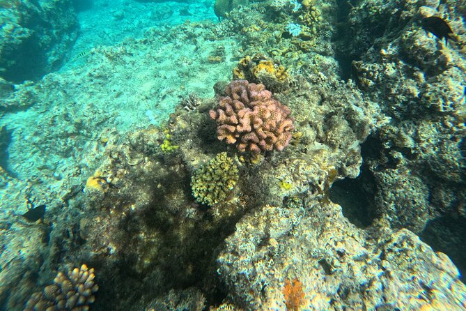 Dive Into Paradise: Snorkel Adventure at Paradise Cove - Equipment, sunscreen, and the no-fins policy