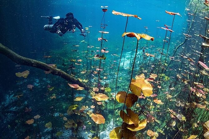 Dive into Tulum: Tour 3 Cenotes, from Riviera Maya - A simple Mexican meal after the water