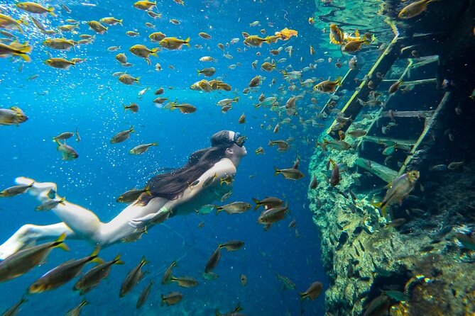 Dive into Tulum: Tour 3 Cenotes, from Riviera Maya - The real price is $68 per person