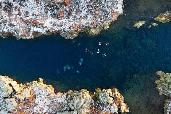 Dive the Divide: Silfra Fissure Scuba Tour | Meet at Thingvellir - Summer and winter plans are not the same