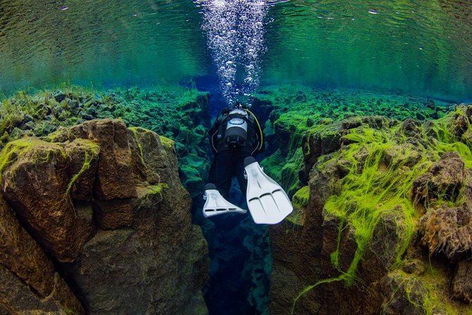 Dive the Divide: Silfra Fissure Scuba Tour | Reykjavik Pickup - Why Silfra is such a special place