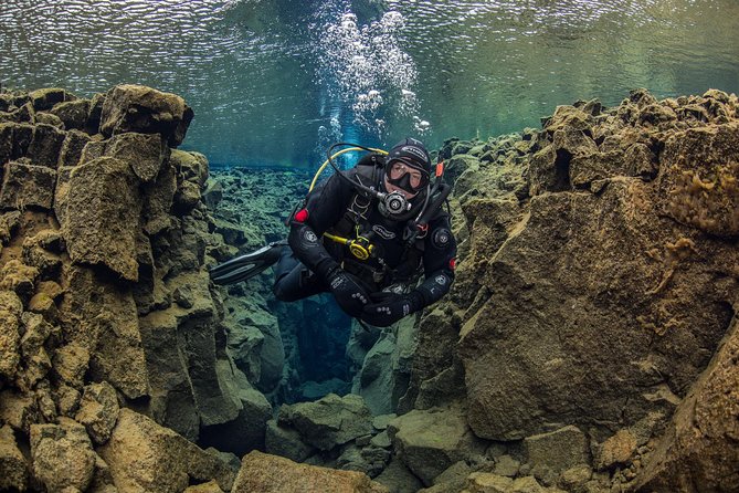 Dive the Divide: Silfra Fissure Scuba Tour | Reykjavik Pickup - Who should book this experience?