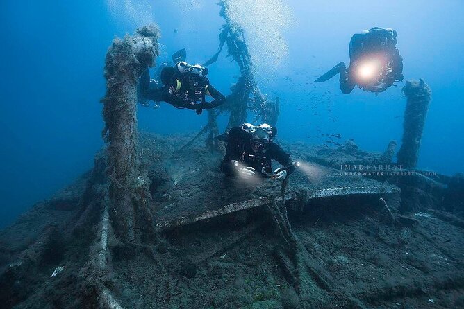 Dive The Rock (Scuba Diving Experience in Protaras) - Fish, turtles, and statues keep the underwater scene lively